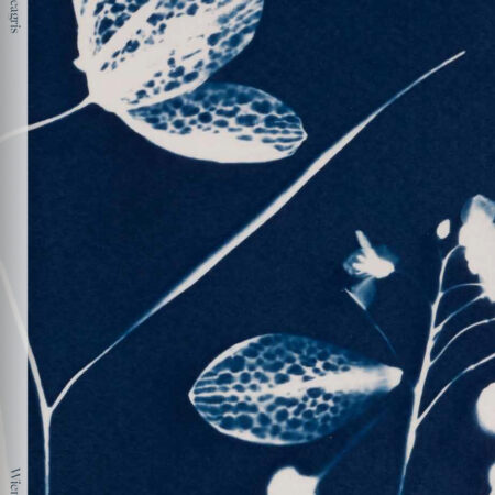 Fritillaria Meleagris | Wieneke de Leeuw